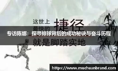 专访陈娜：探寻排球背后的成功秘诀与奋斗历程